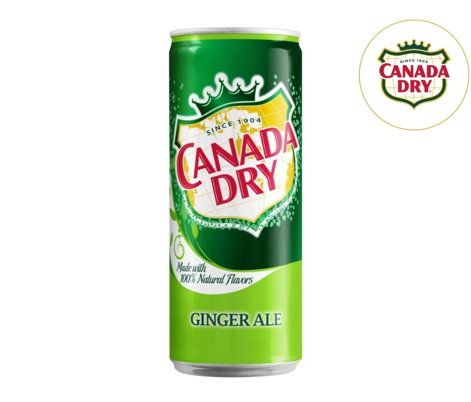 Green can of Canada Dry Ginger Ale on a white background